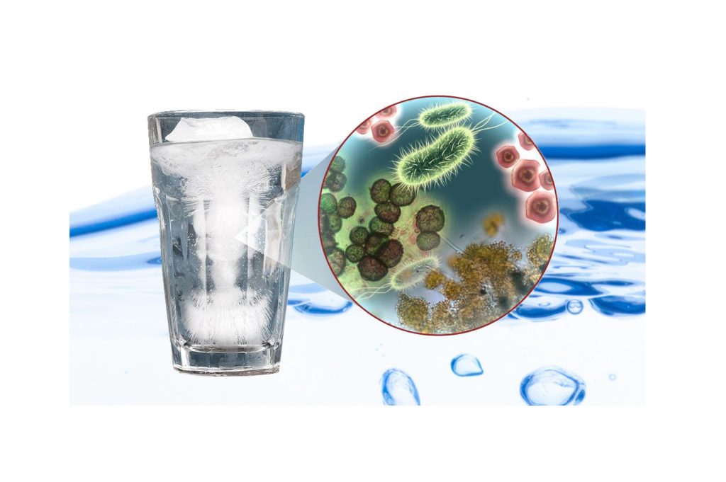 Bacteria in Your Water Best Water Solutions in Gainesville, Ocala and