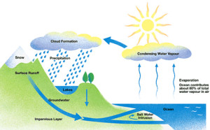 How Does Water Become Polluted? | Best Water Solutions in Gainesville ...